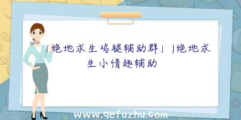 「绝地求生鸡腿辅助群」|绝地求生小情趣辅助